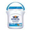 Fevicol Marine 1 kg Woodwork Adhesive Price Features