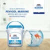 Fevicol Marine 500g Woodwork Adhesive Price and Features