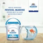 Fevicol Marine 500g Woodwork Adhesive Price and Features