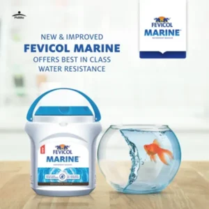 Fevicol Marine 500g Woodwork Adhesive Price and Features