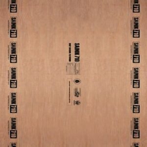 Centuryply Club Prime 7 ft. x 4 ft. 19 mm BWP/Marine Plywood