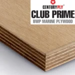 Centuryply Club Prime 8 ft. x 4 ft. 9 mm BWPMarine Plywood